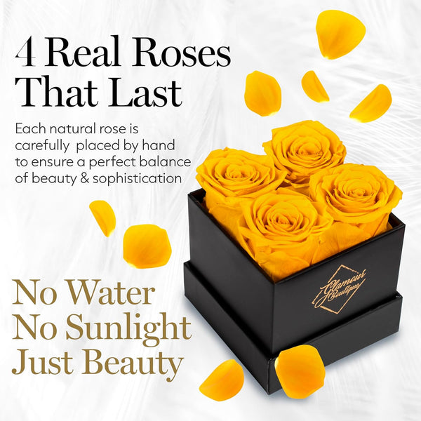 Classic Prestige Black | 4 Yellow Roses