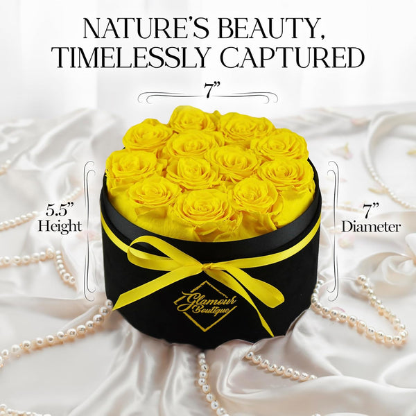 Eternal Prestige Velvet Black | 12 Yellow Roses