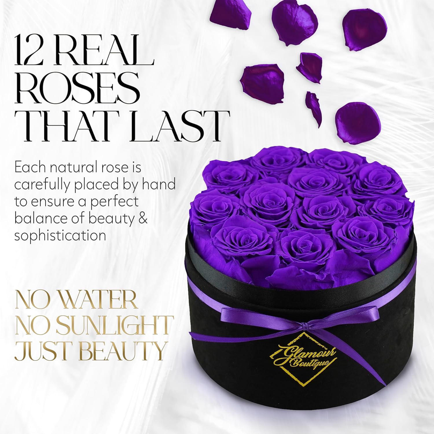 Eternal Prestige Velvet Black | 12 Purple Roses