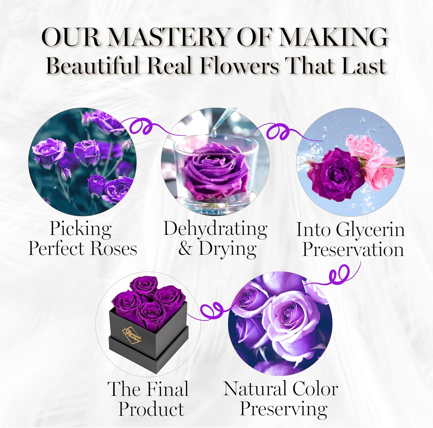 Classic Prestige Black | 4 Purple Roses