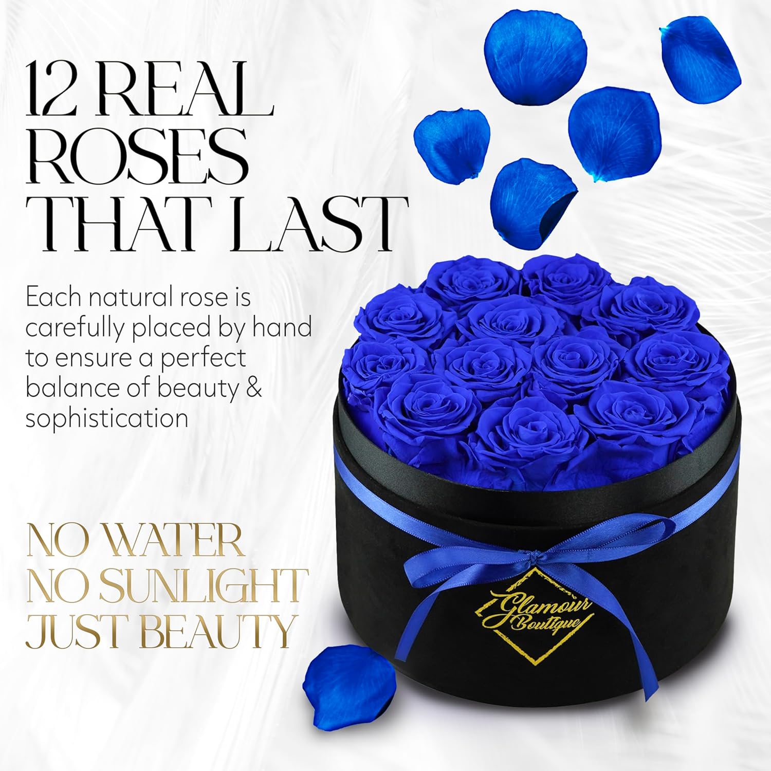 Eternal Prestige Velvet Black | 12 Blue Roses