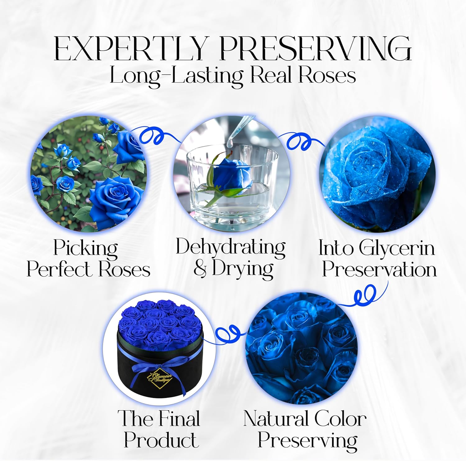 Eternal Prestige Velvet Black | 12 Blue Roses