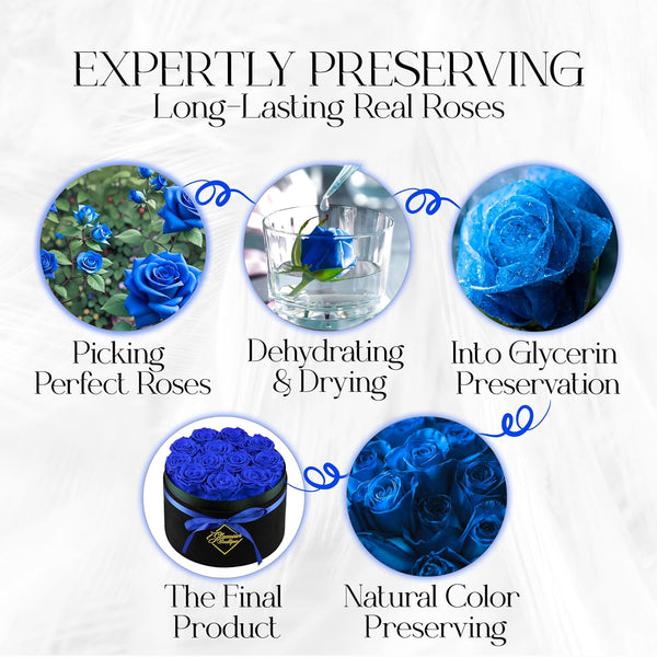 Eternal Prestige Velvet Black | 12 Blue Roses