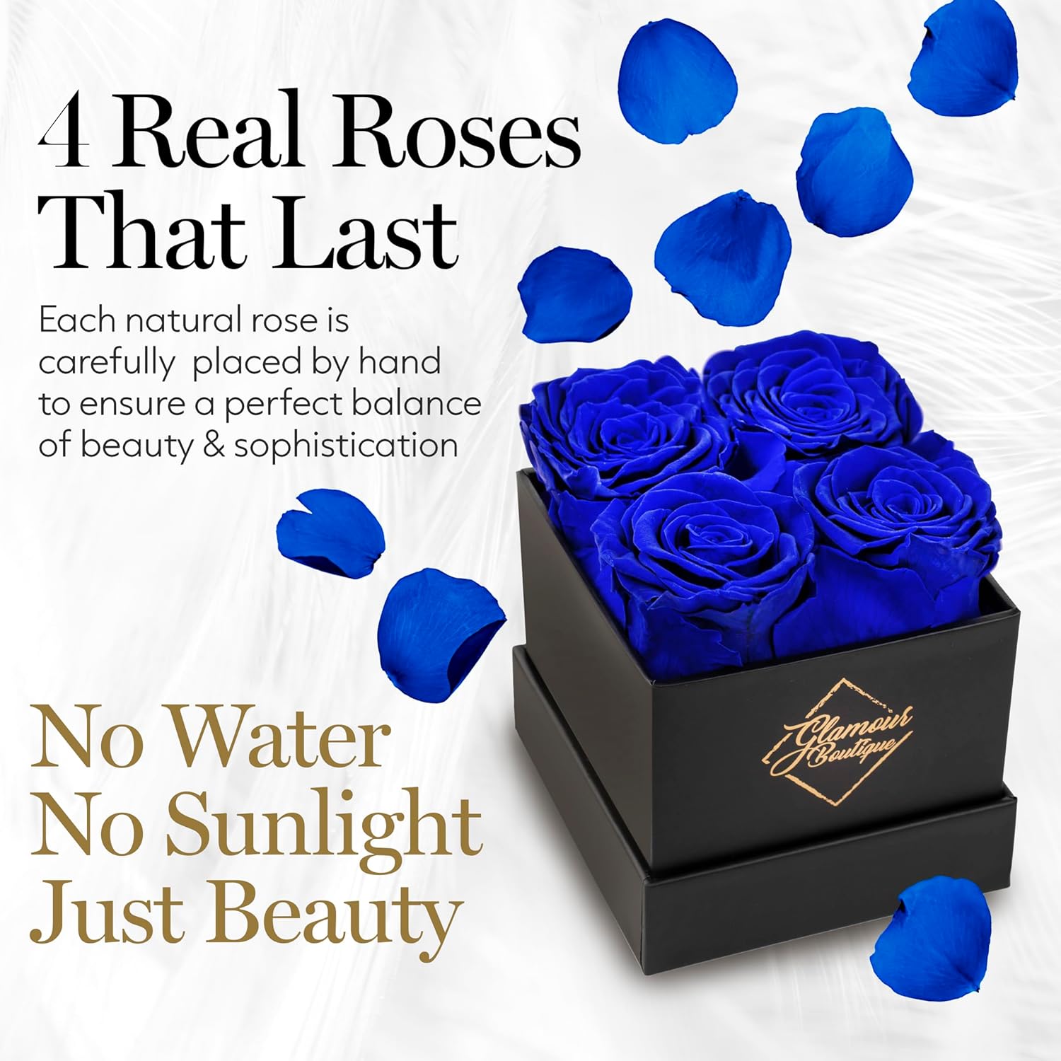 Classic Prestige Black | 4 Blue Roses