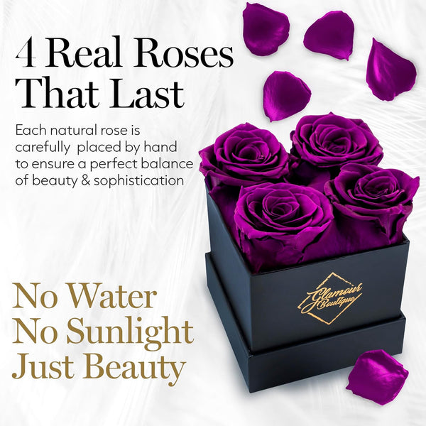 Classic Prestige Black | 4 Purple Roses