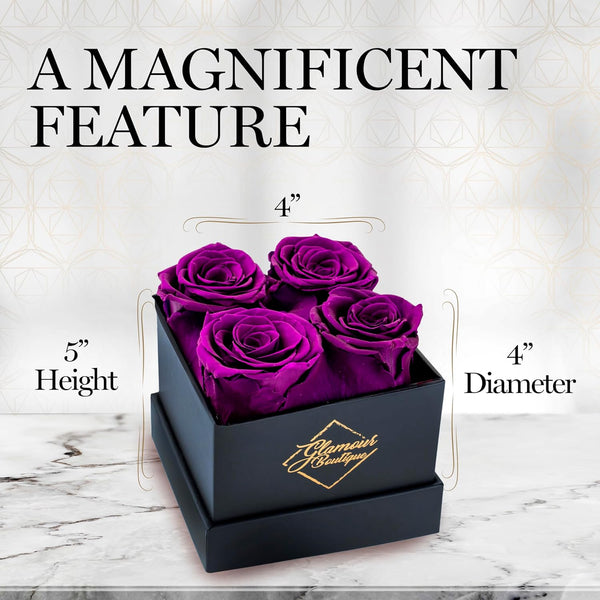 Classic Prestige Black | 4 Purple Roses