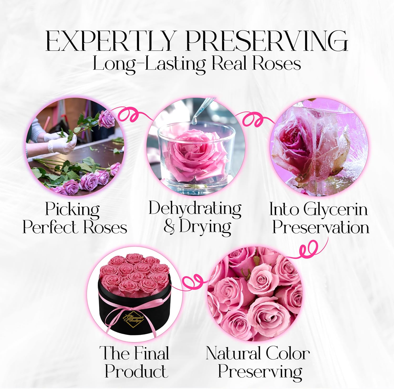 Eternal Prestige Velvet Black | 12 Pink Roses