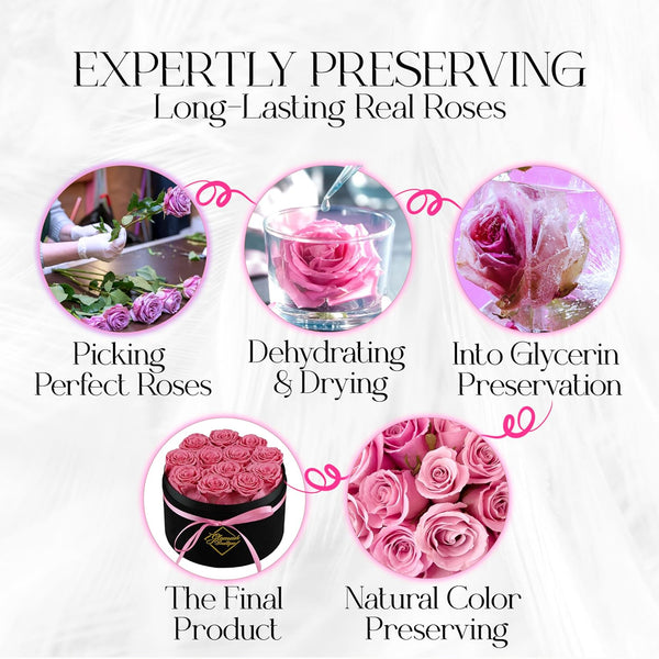 Eternal Prestige Velvet Black | 12 Pink Roses