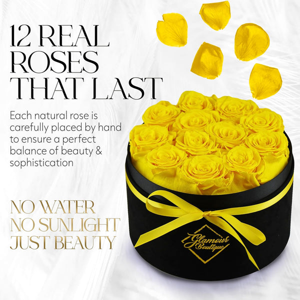 Eternal Prestige Velvet Black | 12 Yellow Roses