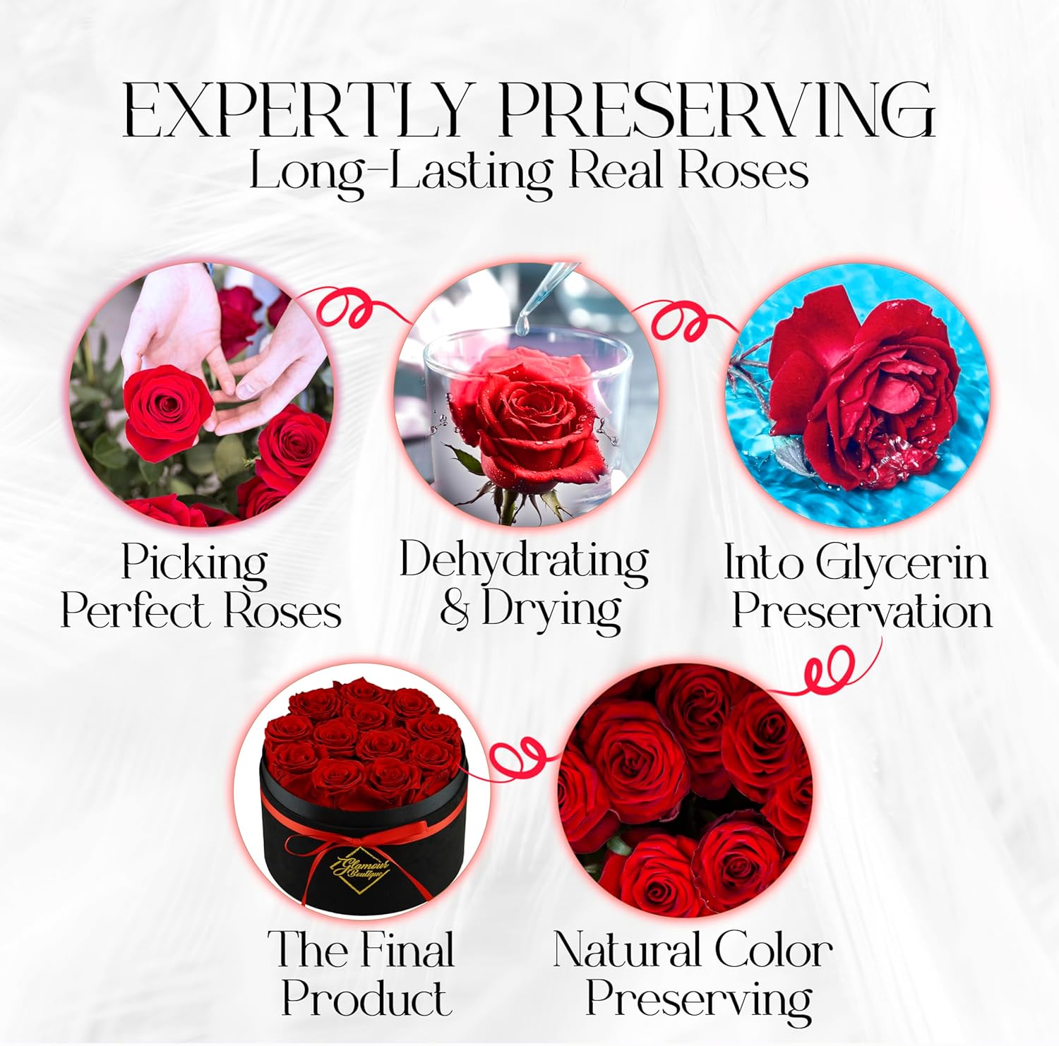 Eternal Prestige Velvet Black | 12 Red Roses