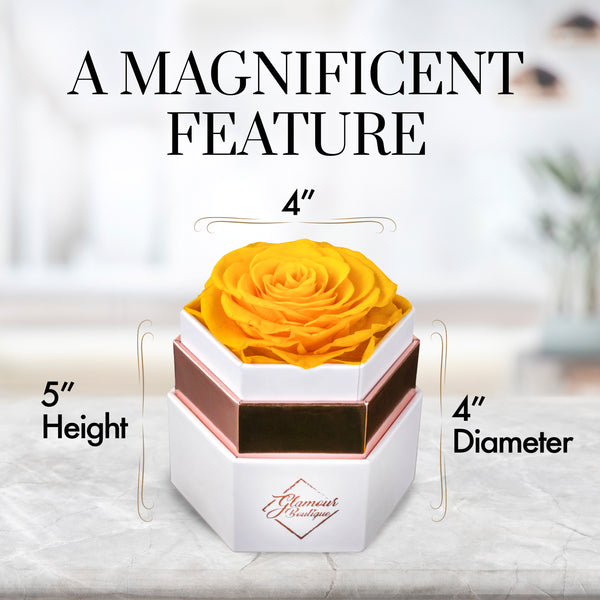 Timeless Charm  Hexagon Box | 1 Yellow Immortal Rose