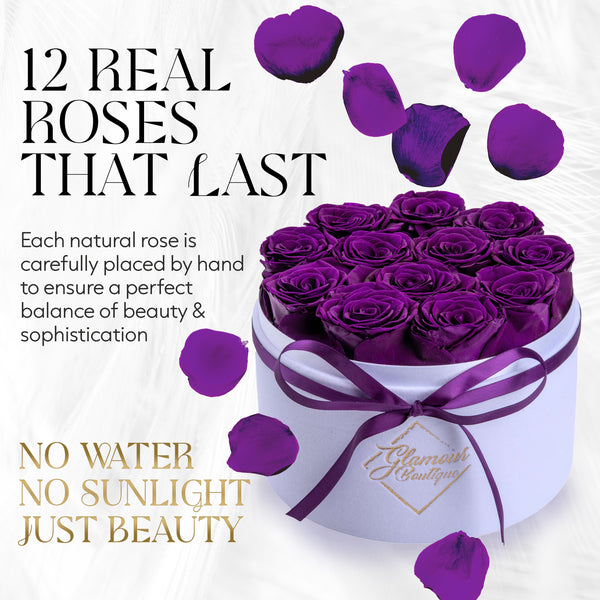 Eternal Prestige Velvet White | 12 Purple Roses