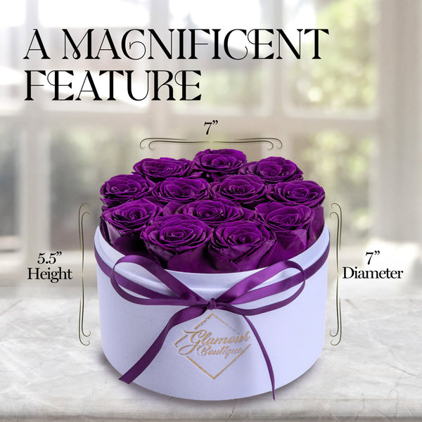 Eternal Prestige Velvet White | 12 Purple Roses