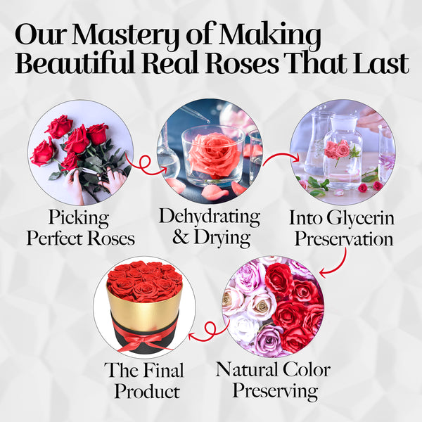 Lasting Beauty Round Black Gold Box | 12 Red Roses