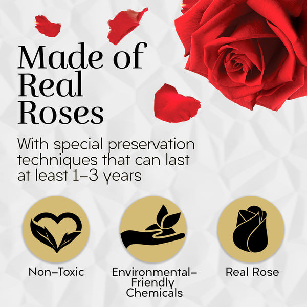 Lasting Beauty Round Black Gold Box | 12 Red Roses