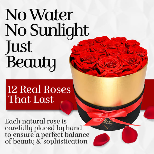 Lasting Beauty Round Black Gold Box | 12 Red Roses