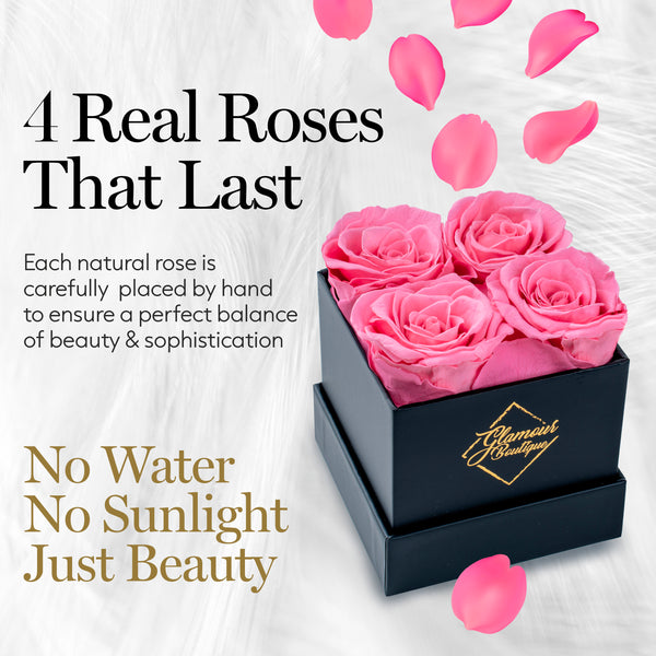 Classic Prestige Black | 4 Pink Roses