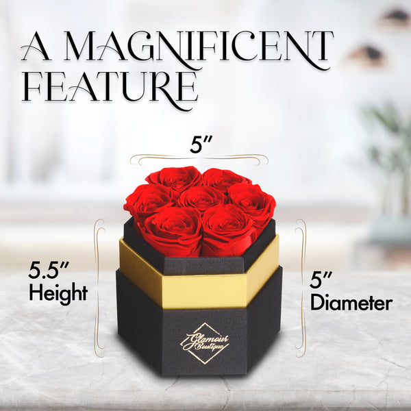 Timeless Charm  Hexagon Black Box | 7 Red Roses