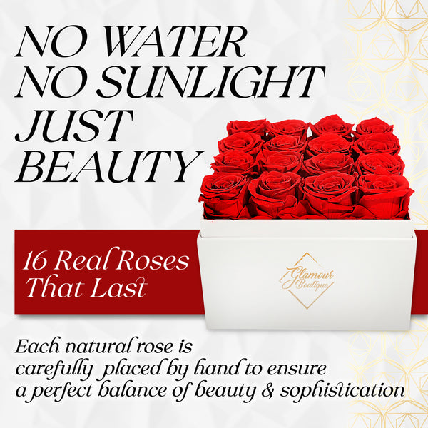 Eternal Elegance Square White | 16 Red Roses