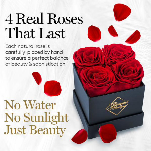 Classic Prestige Black | 4 Red Roses