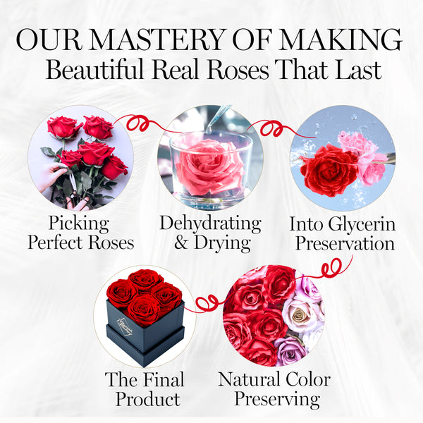 Classic Prestige Black | 4 Red Roses