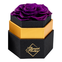 Timeless Charm  Hexagon Black Box | Purple Immortal Rose