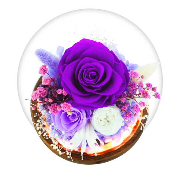 Romance Promises | Glass Dome Forever Purple