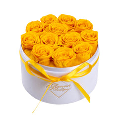 Eternal Prestige Velvet White |12 Yellow Roses