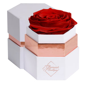 Timeless Charm  Hexagon Box | Red Immortal Rose