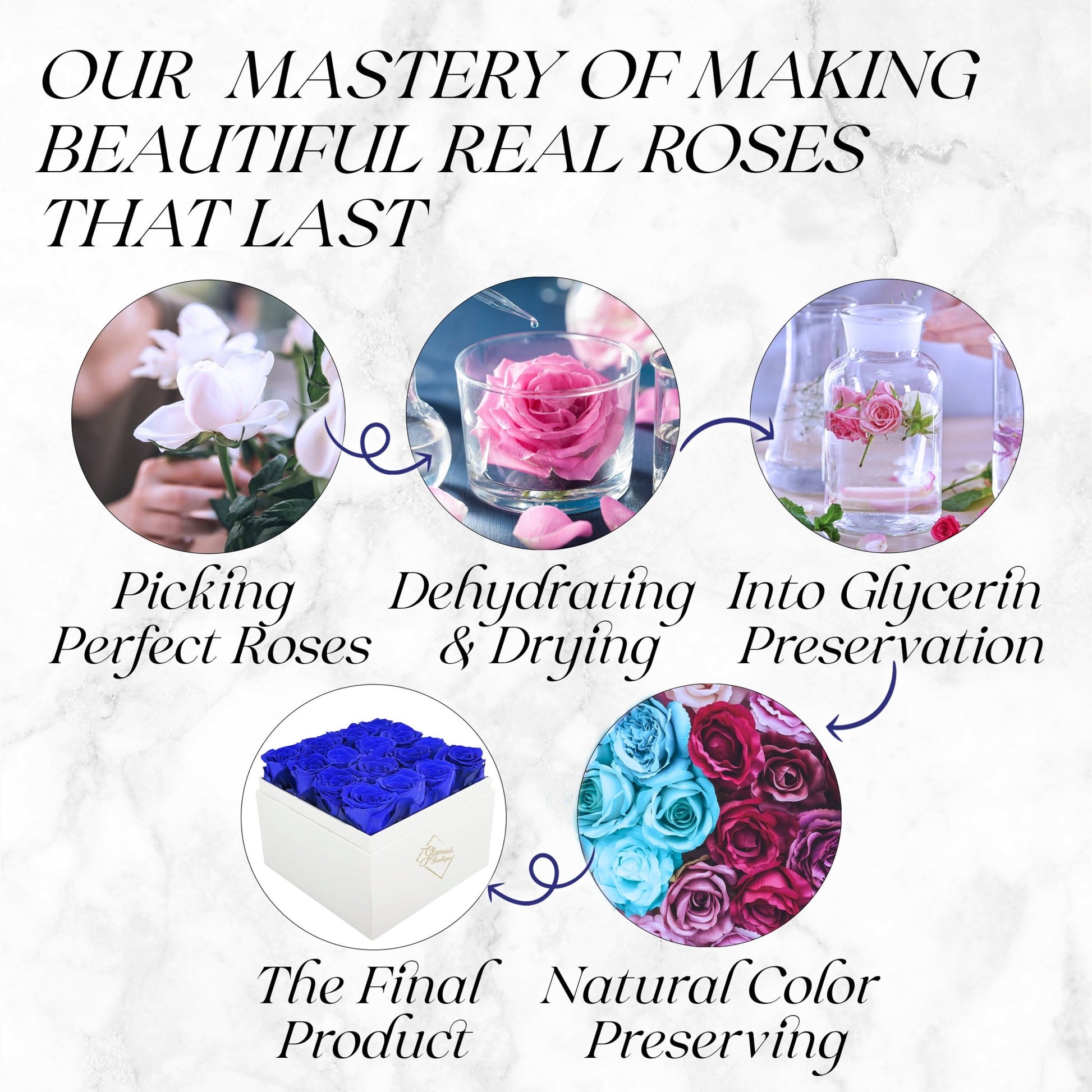 Eternal Elegance Square White| 16 Sapphire Roses - theglamourboutiques