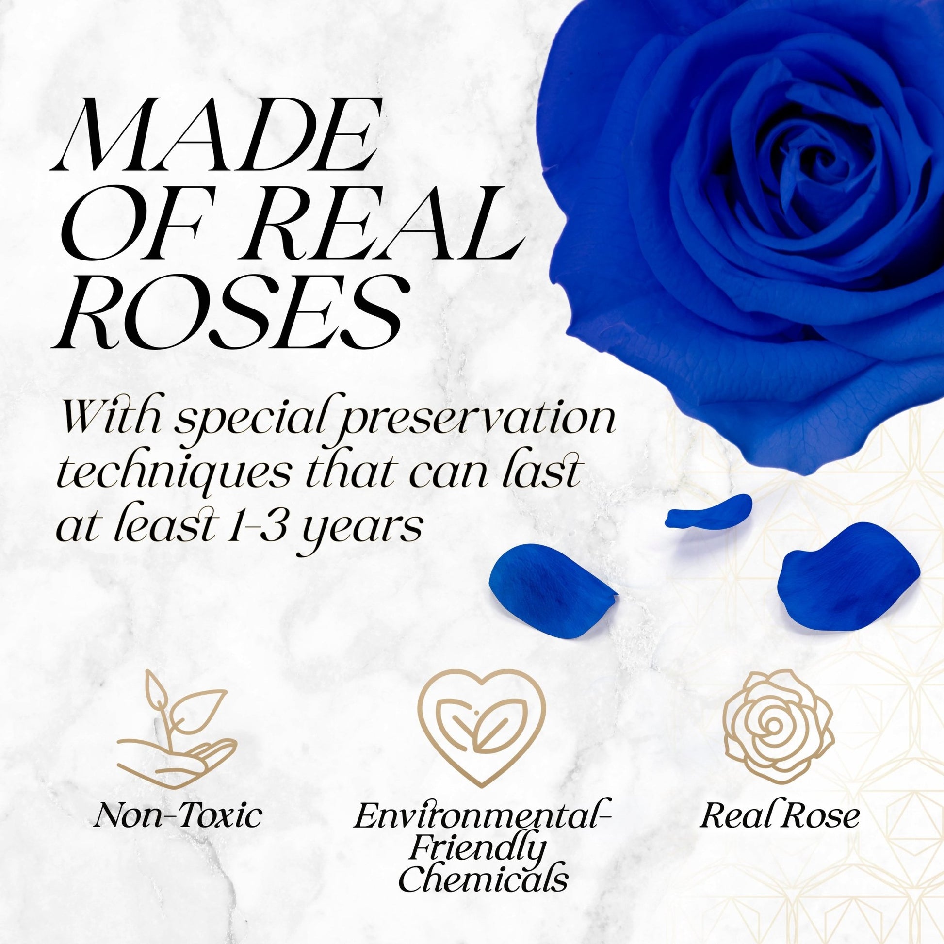 Eternal Elegance Square White| 16 Sapphire Roses - theglamourboutiques