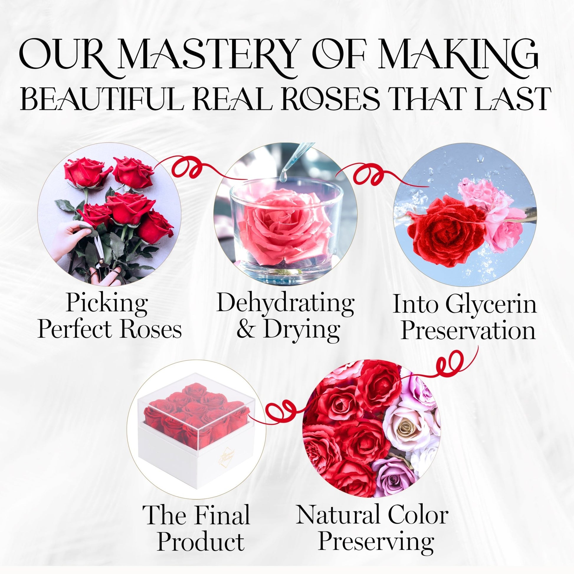 Eternal Elegance Square White | 9 Red Roses - theglamourboutiques
