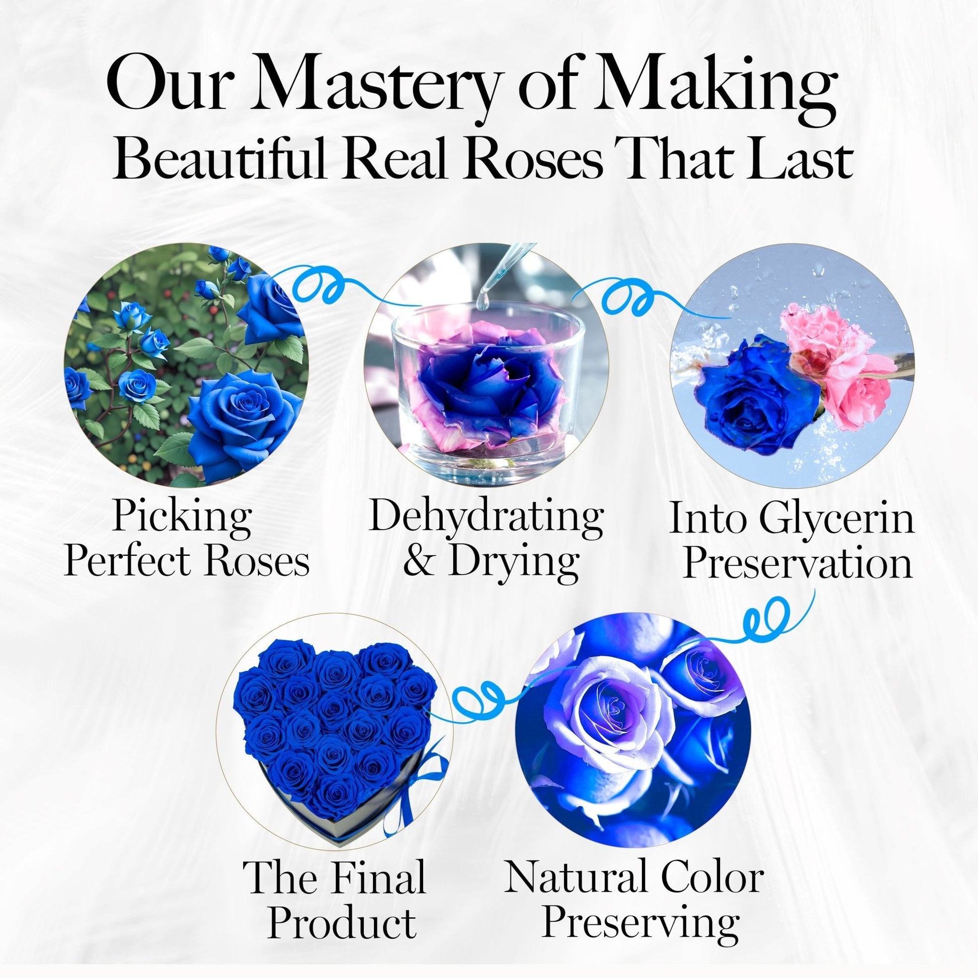 Immortal Love Heart Box |16 Blue Roses - Glamour Boutique