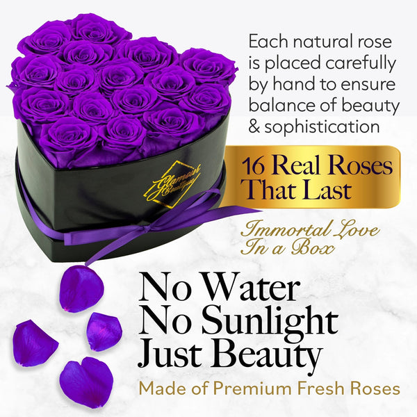 Immortal Love Heart Box |16 Purple Roses - Glamour Boutique