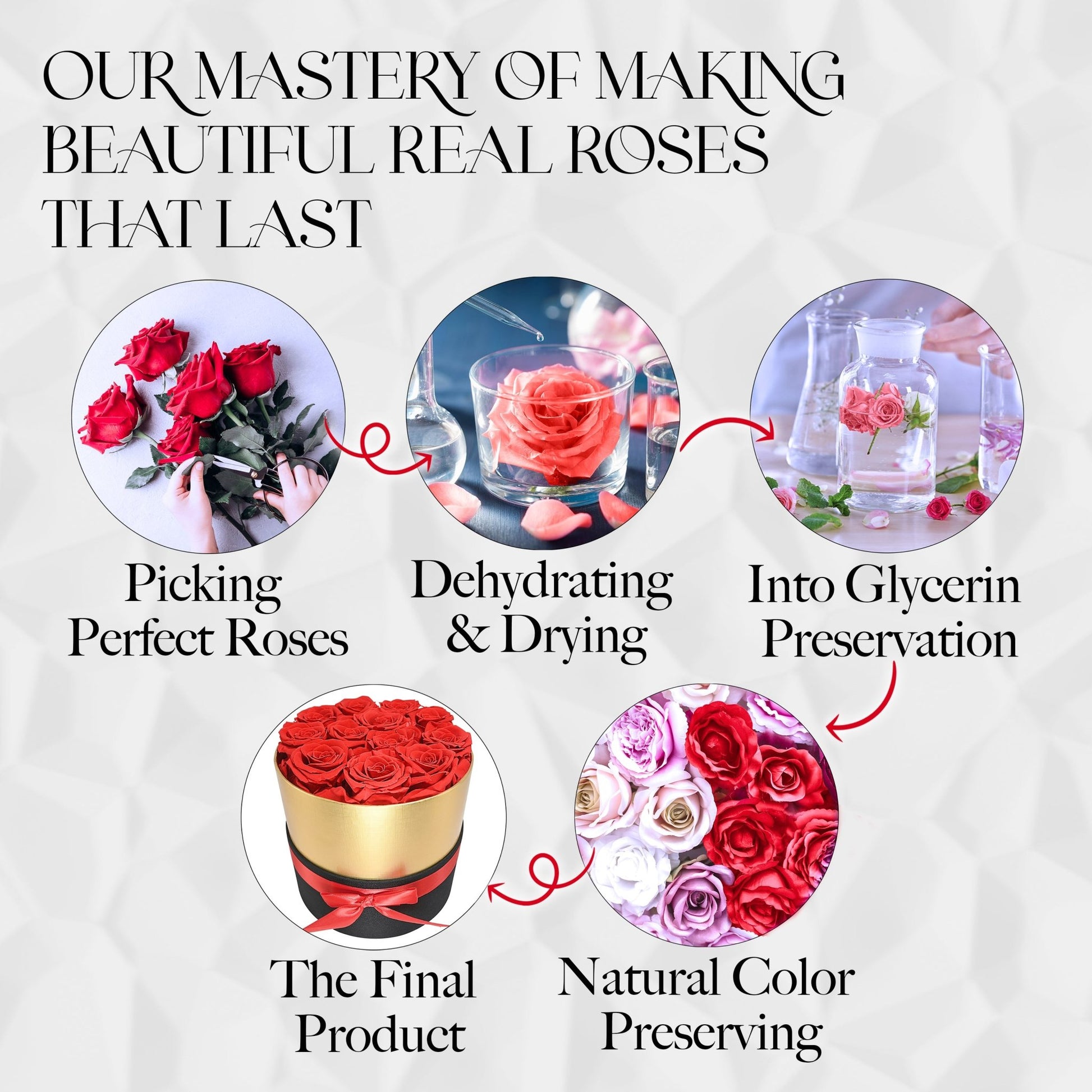 Lasting Beauty Round Black Gold Box |7 Red Roses - Glamour Boutique