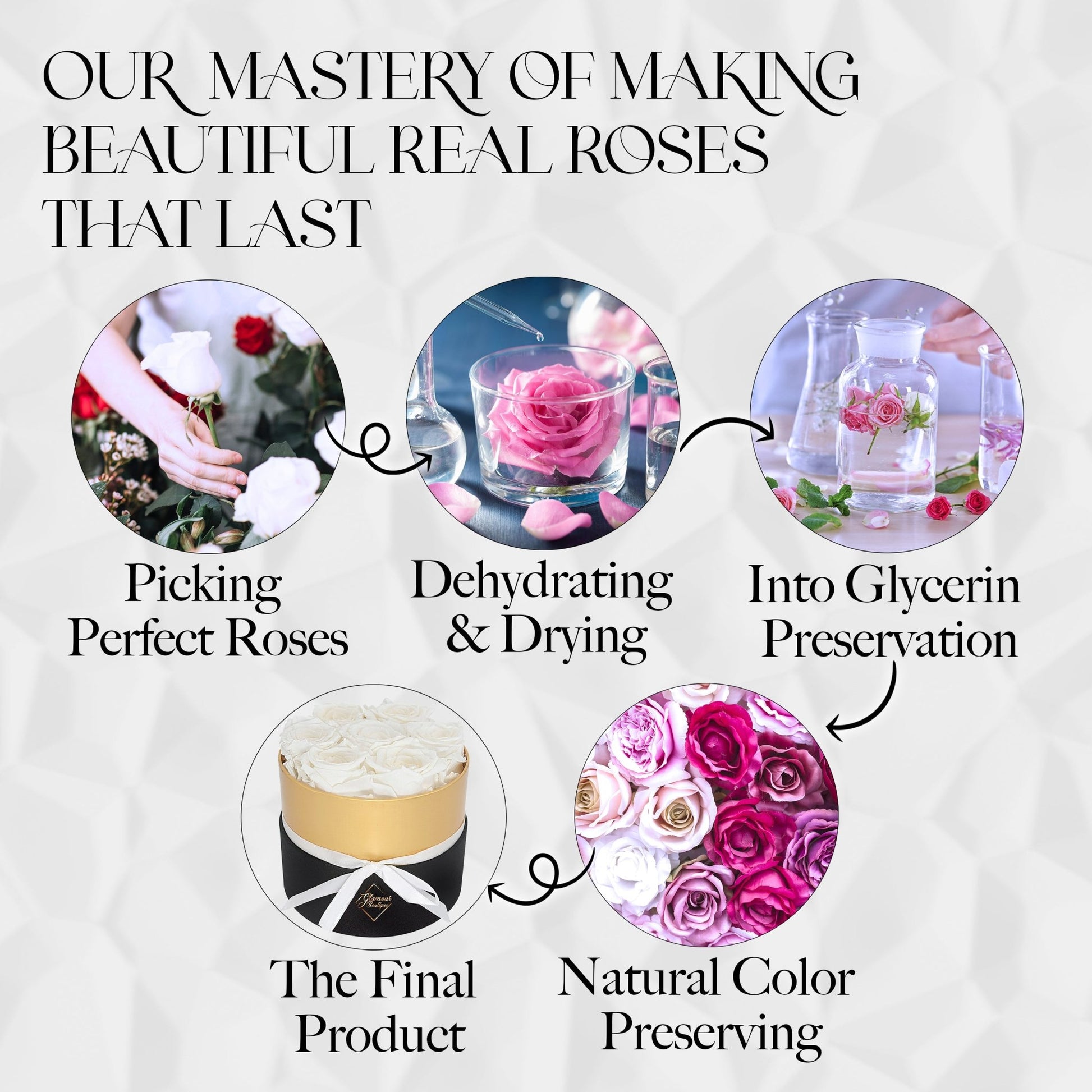 Lasting Beauty Round Black Gold Box | 7 White Roses - Glamour Boutique