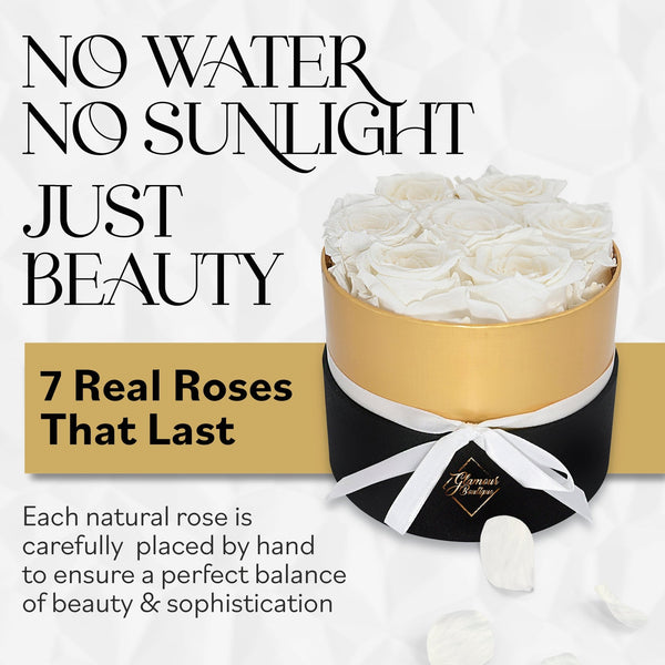 Lasting Beauty Round Black Gold Box | 7 White Roses - Glamour Boutique